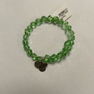 Alex and Ani Vintage 66 “Bohemian Wrap” Bracelet. Light Green, Silver Finish.